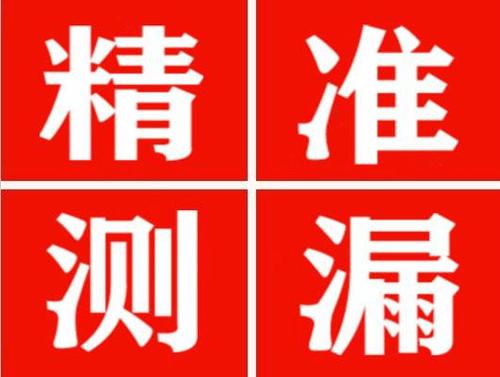 桃江尚嘉漏水精准查找